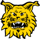 Ilves