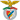 Benfica Castelo Branco