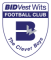 Bidvest Wits